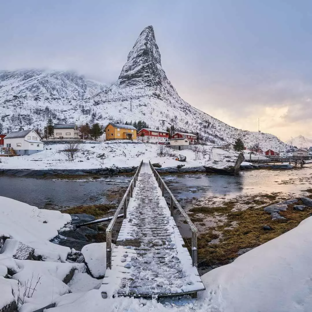 Foto Norvegia_13.webp